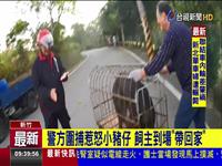 台3新竹新埔段 仔逛大街魂 警方捕惹怒小仔 主回家