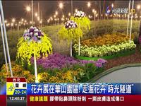 花草展在山! 走花草光地道 台花卉室栽受必定 成功外外